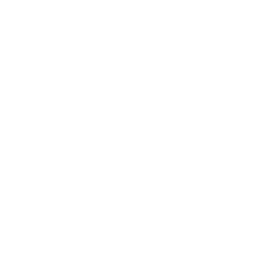 Megafon