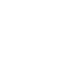 Kurchatovskaya shkola